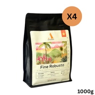 Authentique Specilaity Fine Robusta 100% (Light Roast) (Vietnam Coffee Beans) 250g กาแฟคั่วอ่อน