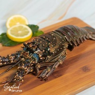 Lobster Laut Frozen - 1kg - Seafood by Aruna terjamin