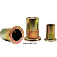 Rivet Nut m 5 x 13 mm Head Blind Nut Rivetnut Rivet Nut Rivet Nut Rivet Nut m 5 x 13 mm Nutsert Flat