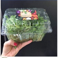 Plastic box P500D - 0.5kg. Plastic box P1000A - 1kg