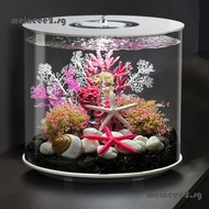 Small Goldfish Tank Round Fish Tank With Filter And Oxygen Generator meineee2.sg