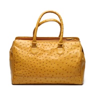 鴕鳥皮全皮奢華手提包

鴕鳥皮，駝色 [二手]