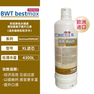 BWT Commercial Filter Water Purifier Under-Counter Dining And Beverage Direct Drinking Water Filter 
