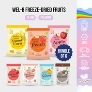 [Bundle of 6] Wel-B Freeze-Dried Fruit Snacks - Vitamin-Rich, Healthy, Assorted Natural Flavors