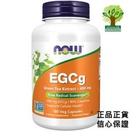 EGCg 綠茶素 400毫克 180粒