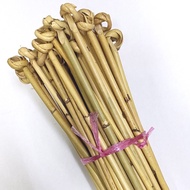 Length 65cm Natural Sega Stick Rattan Rattan Children Rattan Slaves