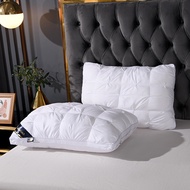 Feather Velvet Pillow Five-Star Hotel Hotel Pillow _ Ziya Store