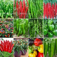 Colorful Pepper Seeds Multicolored Pepper Claw Pepper Claw Pepper Red Line Pepper Red Pepper Seed Ch