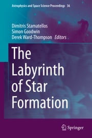 The Labyrinth of Star Formation Dimitris Stamatellos