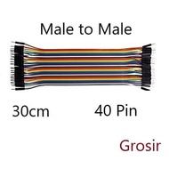 ES99 cable jumper male to male mm m-m Dupont 30 cm 30cm 40 pin