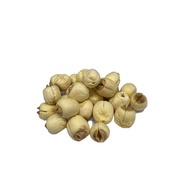[FAST SHIPPING] LOTUS SEED WITHOUT SKIN ( LIAN ZI ) 100-500g