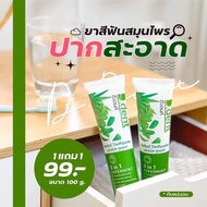 💥1 แถม 1 💥ของแท้ ยาสีฟันดีเดนท์ D.dent ยาสีฟันสมุนไพร9ชนิด มีฟลูออไรด์ 1500ppm.สูตรเปปเปอร์มิ้นต์ ลดกลิ่นปาก ป้องกันฟันผุ