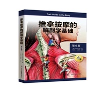 Anatomy of Massage of Massage Basic * 6 Edition Ding Zihai Massage Book Tutorial