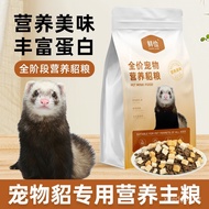 Ferret Binatang Khas Harga Penuh Makanan Ferret Angora Ferret Salji Ferret Makanan Utama Pemakanan P