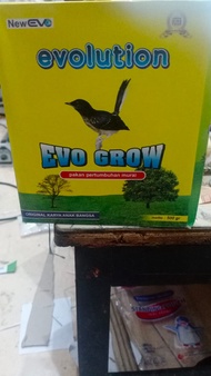 VOER EVOLUTION VOER EVO GROW PAKAN TROTOLAN MURAI BATU TERBAIK