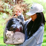 Pet Bag Transparent Class Cat Dog Bag Outing Portable Kitten Cat Cat Cat Cat Bag Cat Bag Cat Outing 