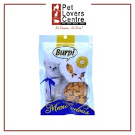 BURP Cat Biscuits - Salmon Flavor 50G