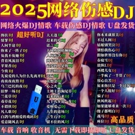 2025 Network DJ Popular Injury Emotional Song DJ Car U Disk Music mp3 High-Quality U Disk Radio Carr