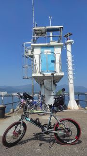 TRINX  型仔碟刹單車
