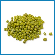 Green Monggo Vegetable Seeds ( 300 seeds ) - Basic Farm House