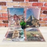 AMERICAN RIFLEMAN : U6797 may1965 U6798 January1962 U6799 august1956 U6800