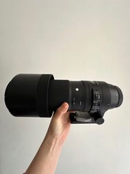 Sigma 150-600mm f5-6.3 DG for canon 鏡頭