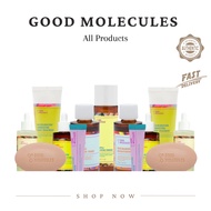 Good Molecules Niacinamide Brightening Toner/Serum/Hyaluronic Acid Serum/Yerba Mate/Discoloration Se