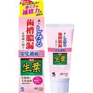 小林製藥西洋S敏感症狀預防型（100G）