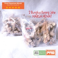 Pusat Aquarium - Paket Hemat Media Filter Karang Jahe 2 Bungkus Untuk Akuarium Ikan Channa Predator