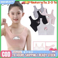 [Ships within 2-3 days] Girls& 39; Underwear for Girls Aged 8 to 14 Years Old, Developmental Period