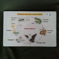 Puzzle Rantai Makanan Puzle Ape Edukasi Edukatif Anak Rumah Tk Sd Paud Alat Peraga Pendidikan