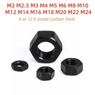 8 or 12.9 Grade Carbon Steel Hexagon Hex Nuts M2 M2.5 M3 M4 M5 M6 M8 M10 M12 M14 M16 M18 M20 M22 M24