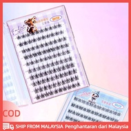 【Local】 Bqi Glue-free Lazy Sunflower Double-action Double Lashes Come With Rubber Removal Bands, Beg