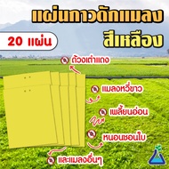 แผ่นกาวดักแมลง (สีเหลือง) ขนาด 20 x 25 เซนติเมตร จำนวน 20 แผ่น Yellow Sticky trap (20x25 cm) qty 20 