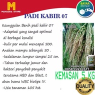 Benih Padi Kabir 07 Bibit Padi Unggul 5 kg