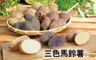 【台灣本土種植 彩色馬鈴薯 4斤裝】口感酥軟香甜綿密 無添加抑芽劑