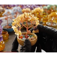 Cornucopia Crystal Fortune Lucky Tree Tea Cup Base Crystal Tree Ornaments Crystal Tree of Life Creat