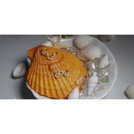 14k 珍珠耳环/ 耳钩型/ 旋转珍珠款