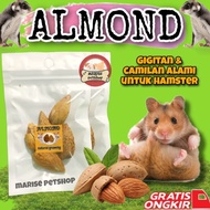 Almond hamster Snack - hamster bite - natural hamster Snack gnawing