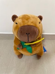 海洋公園 水豚君 毛公仔