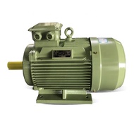 Customized Widely Used 2.5kw 3kw 4kw 5.5kw 7.5kw 11kw 15kw Squirrel Cage Three Phase AC Induction Mo