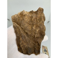 Cambodia Koh Kong Wild Oud Agarwood