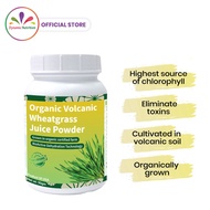 Organic Volcanic Wheatgrass Juice Powder (90g) - Wheat Grass Juice Powder for Detoxification