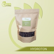 Hydroton or Clay Pebbles for Hydroponics