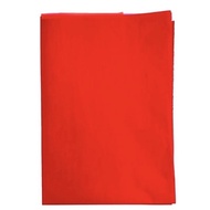 RED PAPER 红纸/ 43*31寸