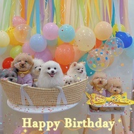 Pet Puppy Cat 1 Year Old 2 Year Old 3 Year Old 4 Year Old Birthday Decoration Scene Decoration Backg