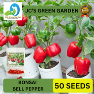 (50 SEEDS) BONSAI BELL PEPPER SEEDS/FOR POT AND CONTAINER/HIGH YIELDING