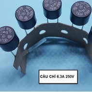 Combo of 25 ROUND FUSE 6.3A 250V COMPONENTS T6.3A 250 F6.3A250V