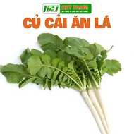 Easy to Grow Leafy Radish Seeds, Yielding h2t farm