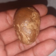 batu mustika telur langka sakral